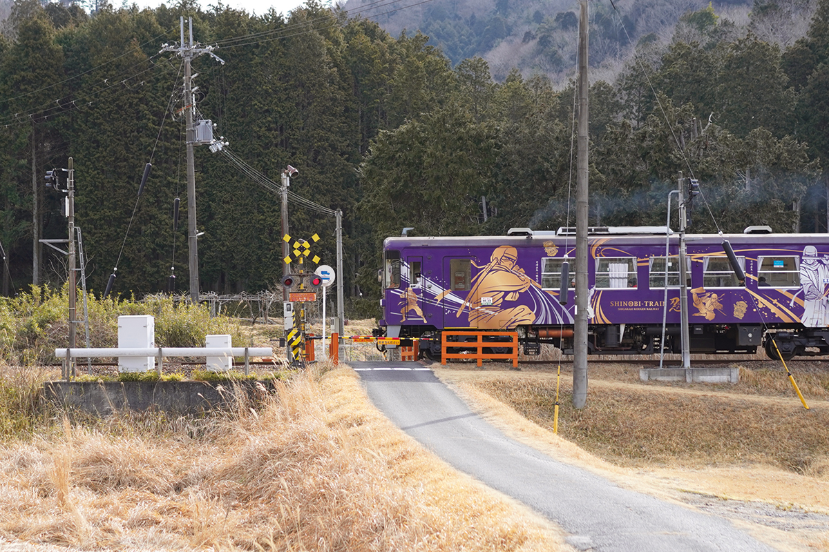 草津から信楽へ。<br />
信楽高原鐵道で行く一時間の電車の旅！